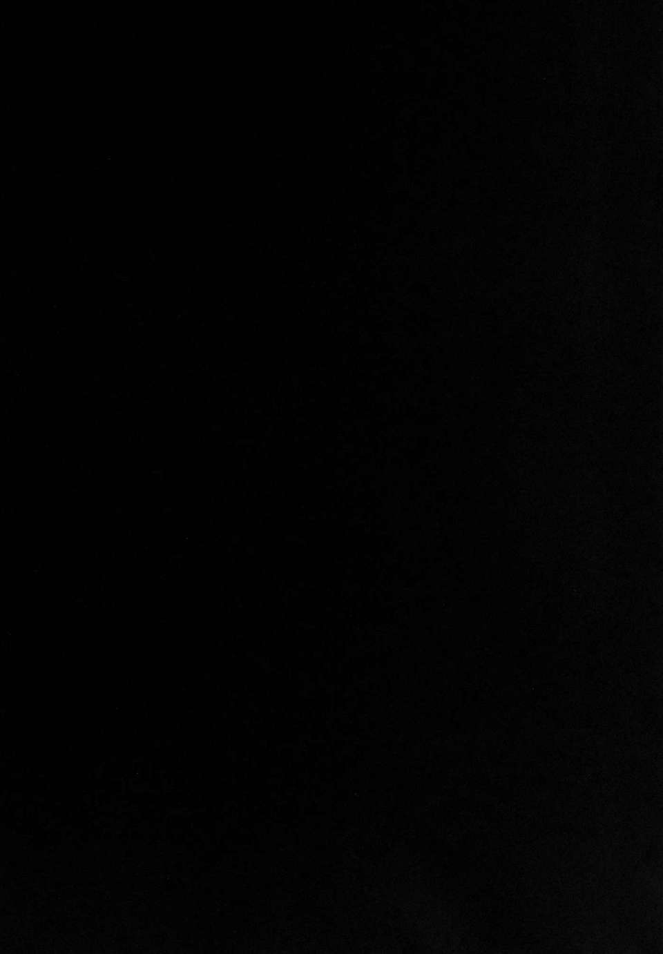 046.jpg